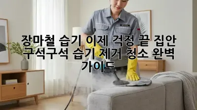장마철 습기, 이제 걱정 끝! 집안 구석구석 습기 제거 청소 완벽 가이드